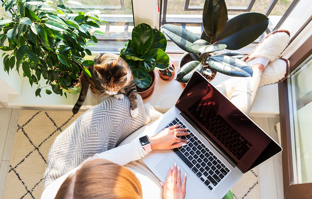 Content Operations & Digital Workflow Coordinator (Remote, Part-Time | $350/Week)