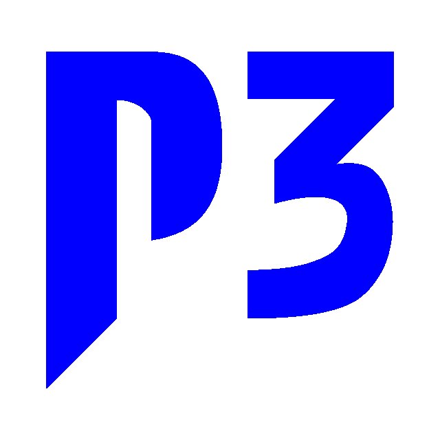 P3 Digital LLC