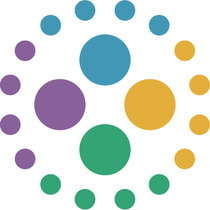 NERIS Analytics Limited