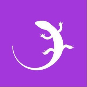 Quizgecko.com